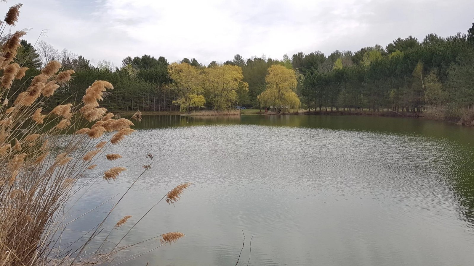 Parc écologique de L'Assomption